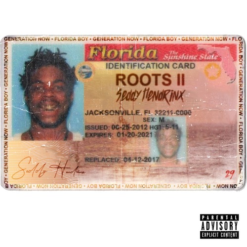 Roots II album image